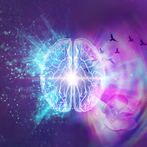 Explore the Neuroscience of Your Identity