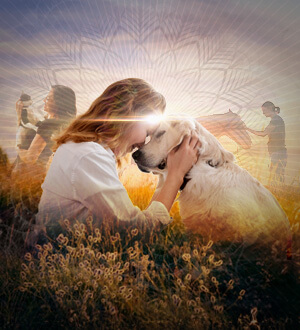 Animal Communication From Birth to Beyond