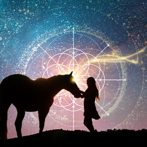 Connect With Your Animal as Your Guide to the Akashic Records