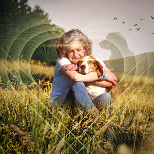 What to Do When Your Pet Is Nearing the End