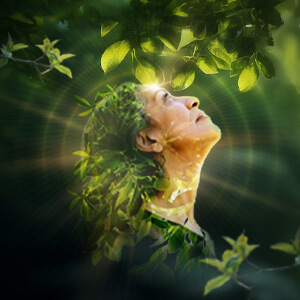 Explore Energetic Herbalism