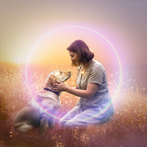 Your Eternal Bonds With Animal Companions